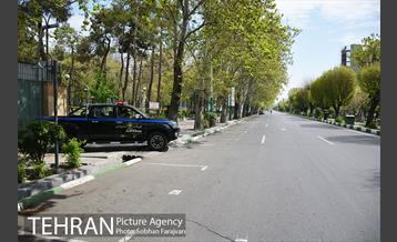 روز طبیعت متفاوت شهر تهران-1 54