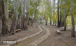 ­اکوپارک رود دره فرحزاد 65