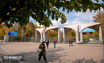 سمفونی رنگ های پاییزی  3