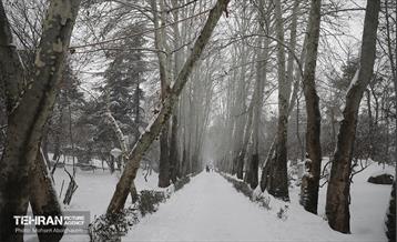 روز برفی تهران - 2 29