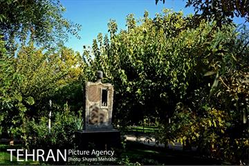 بوستان هنرمندان (ایرانشهر) 8