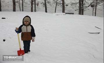 روز برفی تهران - 2 16