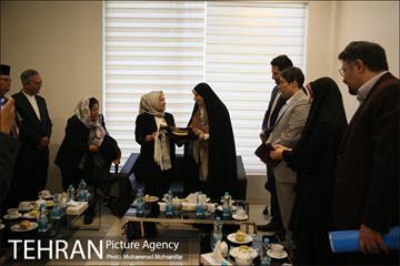 دیدار معاون وزیر خمات عمومی اندونزی با معاون برنامه ریزی 17
