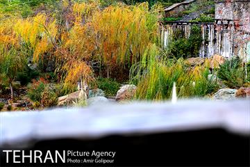 پاییز رنگ به رنگ در بوستان کوهستانی آبشار تهران‎ 4
