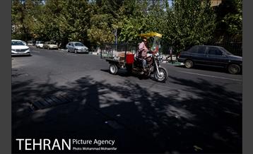 شهرنگار؛ خیابان ۱۶ آذر 12