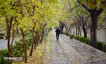 یک روز پاییزی در منطقه ۱۴