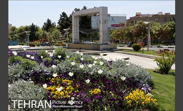 لاله آرایی در منطقه 20