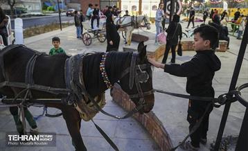 ویژه برنامه «مهمونی شهر» در باغ‌راه حضرت زهرا(س) - 3 52