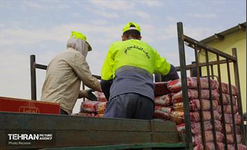 دومین رزمایش مائده امام حسن(ع) 10