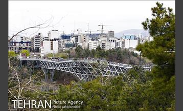 به مناسبت ده سالگی پل طبیعت 10