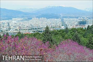 طبیعت بهاری بوستان سرخه حصار‎ 20