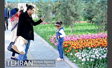 پیاده راه لاله مادران 49