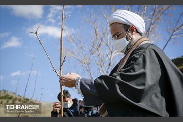 آیین غرس درخت در کوهسار با حضور معاون فرهنگی قوه قضاییه 5