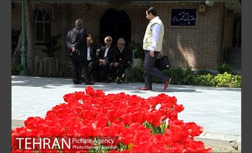 لاله های بهاری پارک شهر 14