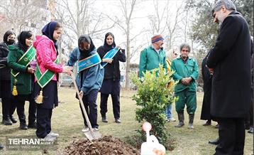 غرس ۱۱۰۰ نهال در منطقه ۱۱ 4