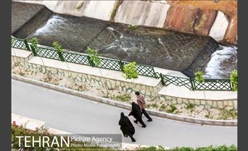 بوستان نهج البلاغه 7