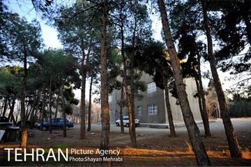 فراموش شدگان اداره منابع طبیعی در بوستان چیتگر 11