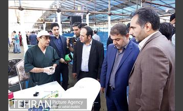 عرضه بهداشتی دام در جایگاه منطقه 2 شهرداری تهران  15