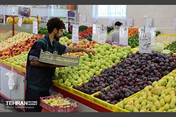 بازار میوه و تره‌بار مرواردید 8