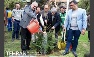 آیین کاشت " درخت فرهنگ و هنر و رسانه"  36