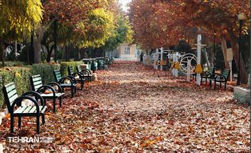 گذر پاییزی بوستان رازی 10