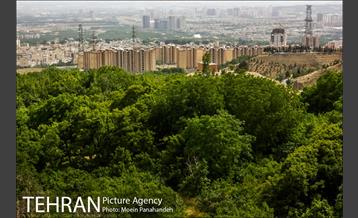 پارک جنگلی کوهسار 8