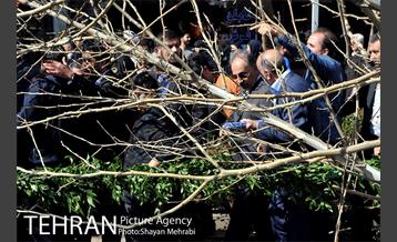 احیای درختان خیابان  ولیعصر( عج) با حضور شهردار تهران  21