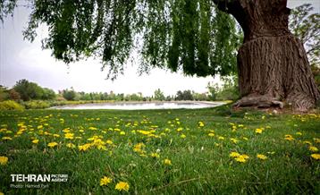 باغ گیاه‌شناسی 31