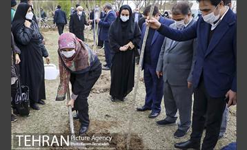 مراسم درختکاری در بوستان ولایت  8