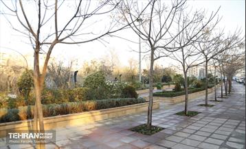 هشتادوششمین رویداد امیدوافتخار 40