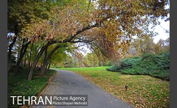 باغ گیاه‌شناسی ملی ایران 56