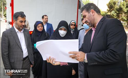 بازدید نرگس معدنی پور از منطقه 17