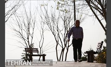 بوستان پرواز 20