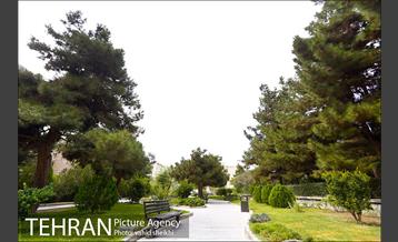 بوستان سنگی 13