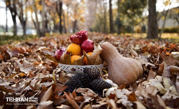 گذرگاه های پاییزی پایتخت - منطقه 14