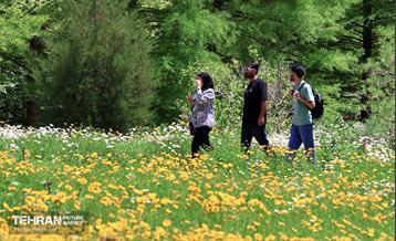 طبیعت بهاری در باغ ملی گیاهشناسی ایران 14