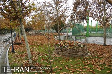 پاییز در بوستان رازی 2