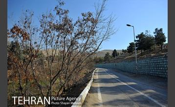 پارک جنگلی سرخه حصار 26