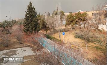 به وقت خدمت؛ مسیر زندگی 24