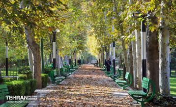 سمفونی رنگ های پاییزی - بوستان اندیشه 10