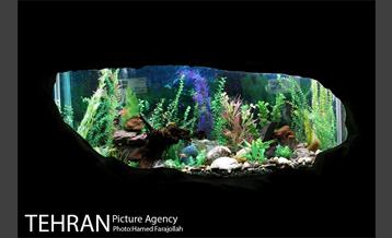 موزه آثار طبیعی و حیات وحش هفت چنار 9