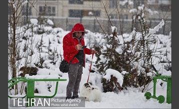 تفریحات برفی در پارک پردیسان تهران 20