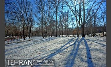 فصل زمستان در بوستان ملت 27