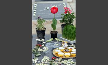 روزهای ابتدایی سال جدید در بهشت زهرا(س) 12
