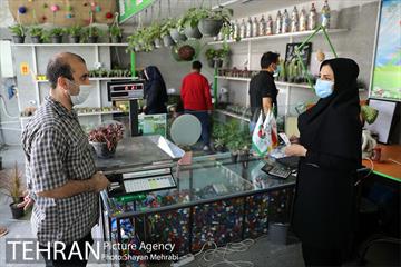 طرح گلماند در منطقه 18