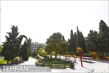 بوستان سنگی 24