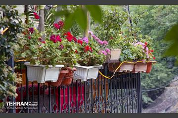 یک روز تعطیل در درکه 15