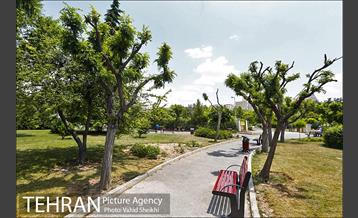 بوستان میعاد 11