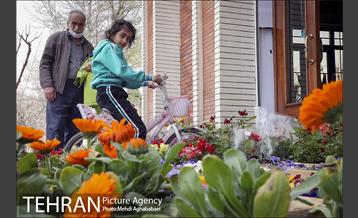 مرکز گل و گیاه ایوار 27