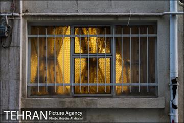 پنجره های شهر تهران 3